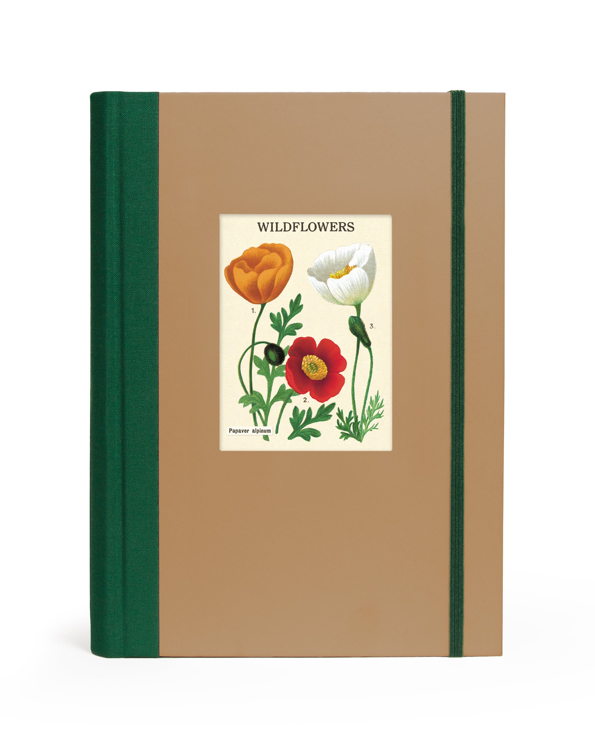 Notebook with a cover featuring illustrations of wildflowers on a beige background.