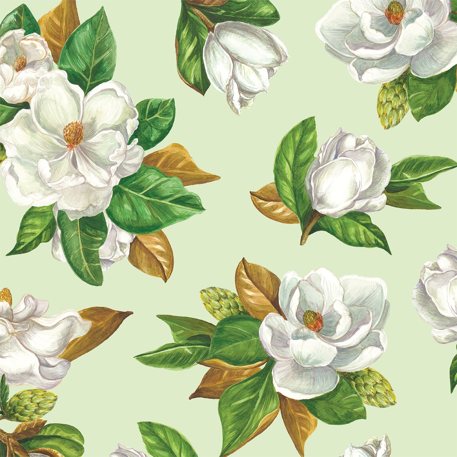 Magnolia Wallpaper