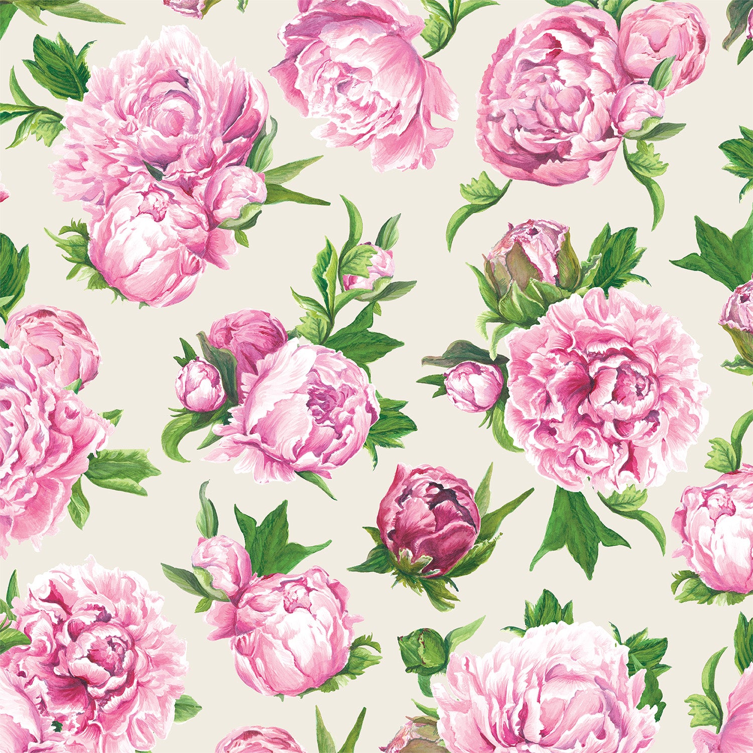 Peony Wallpaper