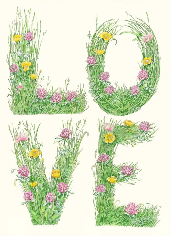 Decorative letters LOVE made of grass and flowers on a white background.