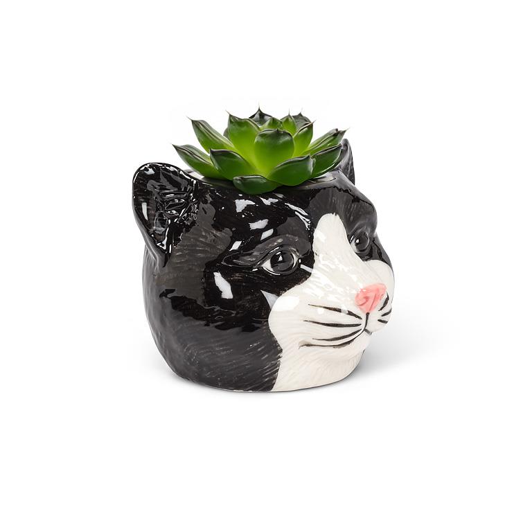 Cat-shaped planter with a succulent on a white background