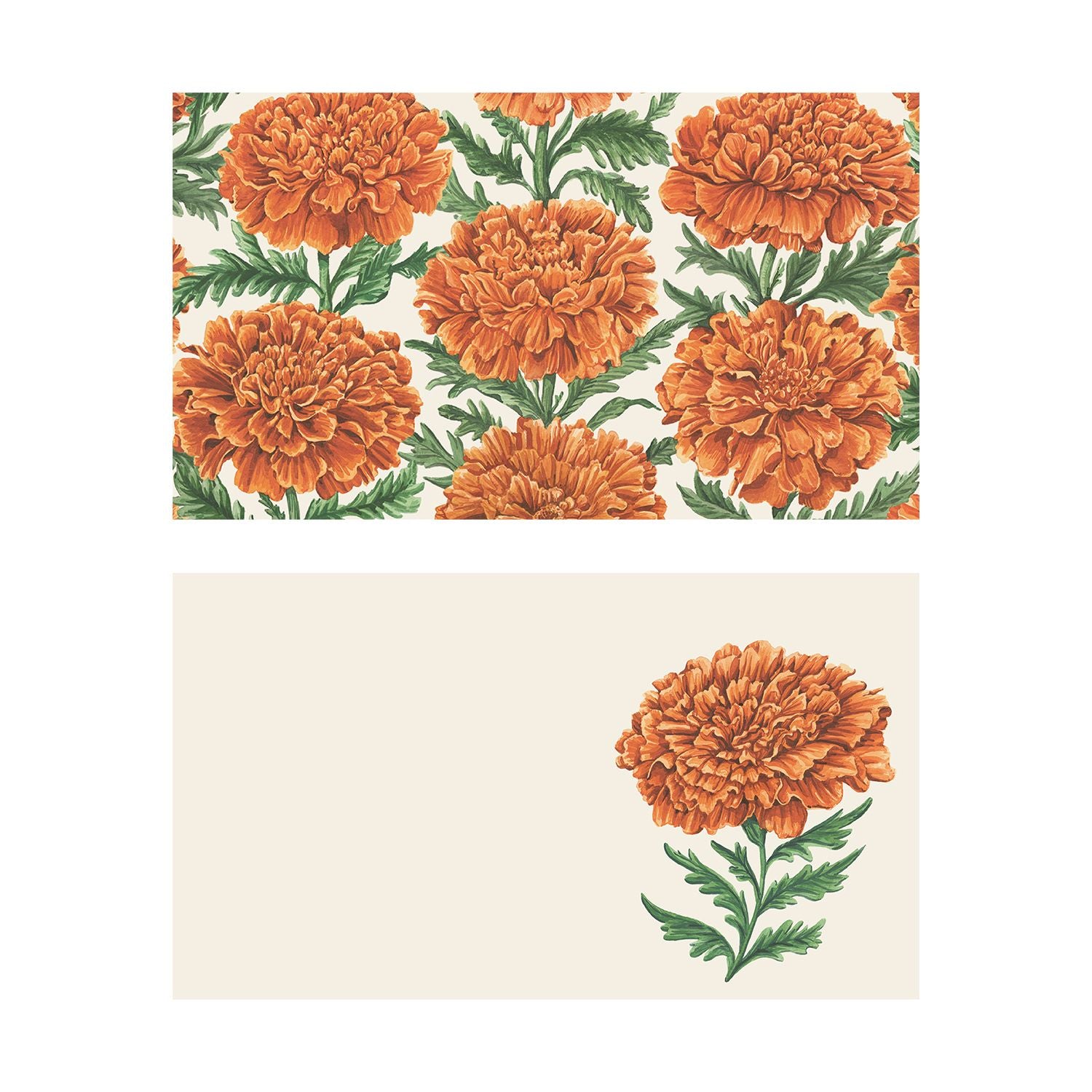 Two illustrated note card designs on a cream background. The top card features an all-over, repeating pattern of large, ruffled orange marigold flowers with deep green foliage. The bottom card has a clean layout featuring a single, detailed orange marigold flower on its green stem placed on the right-hand side, leaving the remaining space blank.
