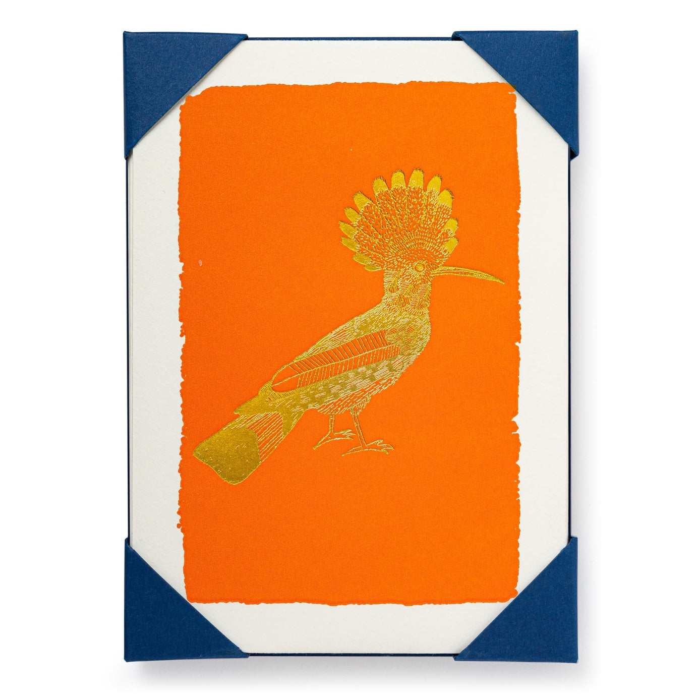 A boxed set of greeting cards with an orange background and a gold hoopoe bird illustration on the front.