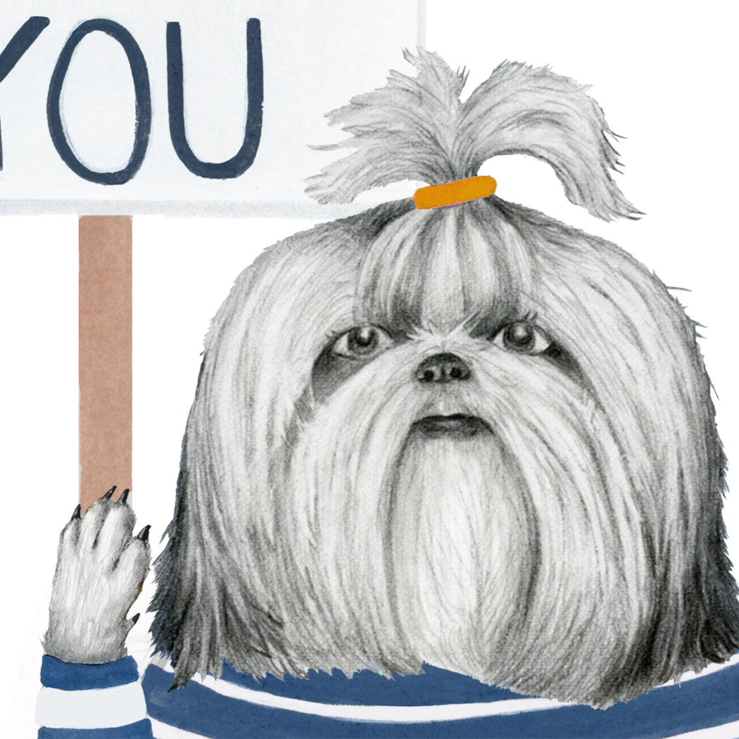 A hand-drawn Shitzu holding a sign that reads "I give a shih tzu about you"