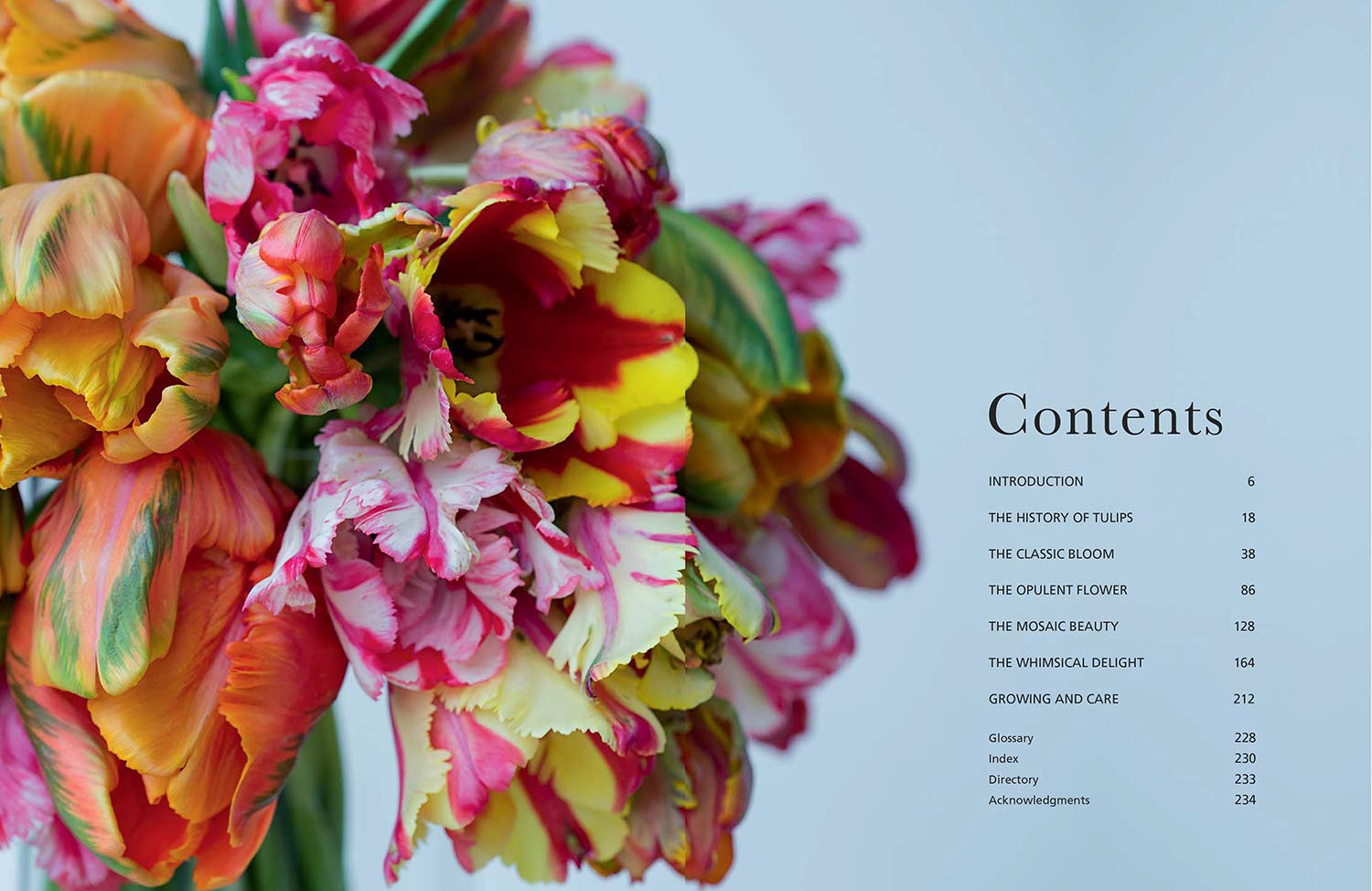 A Gibbs Smith book cover featuring a vibrant gardening bouquet of Tulips, with the title "Tulips" and a subtitle "beautiful varieties for home and garden.