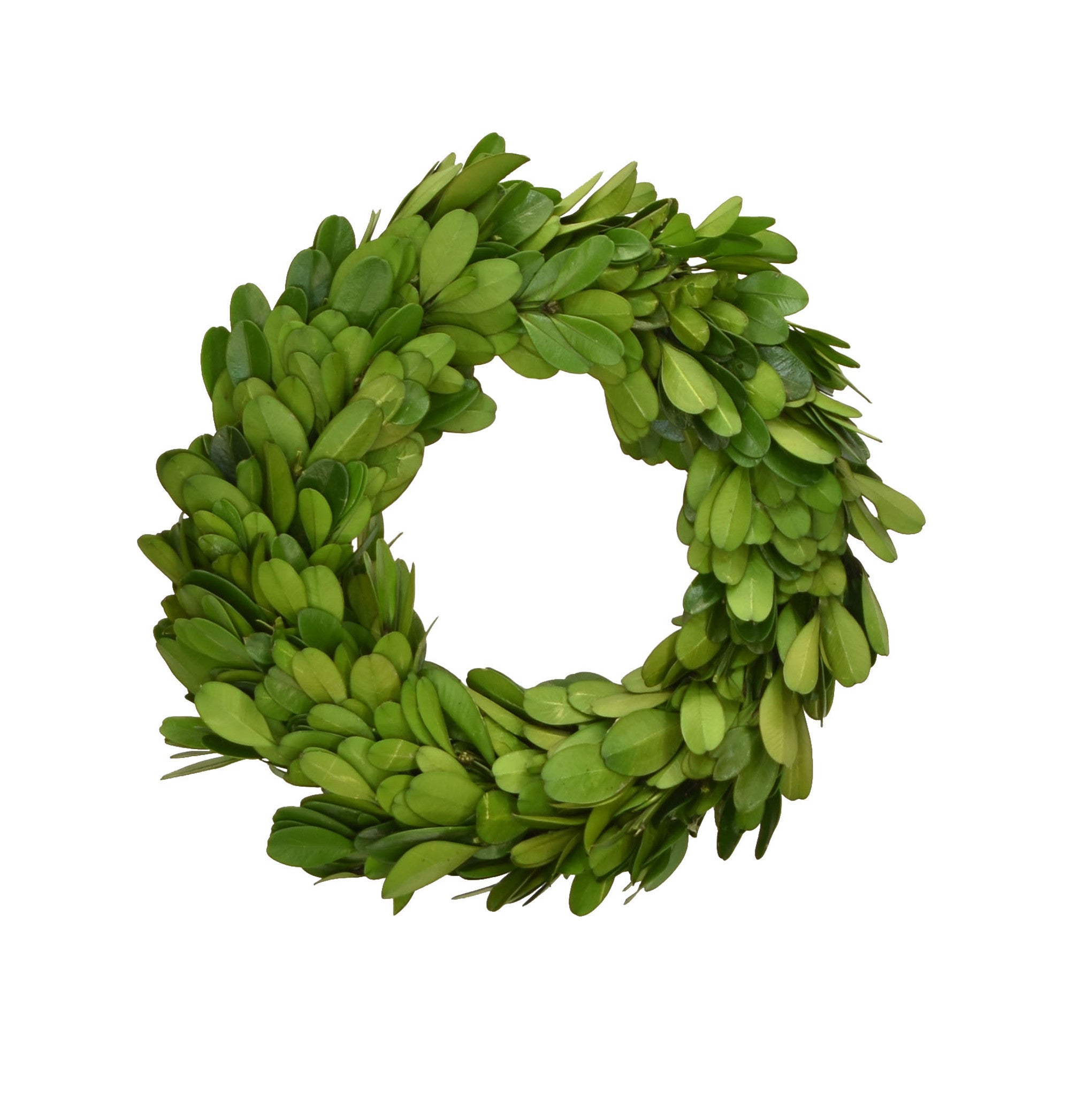 Small preserved boxwood wreath by Mill&