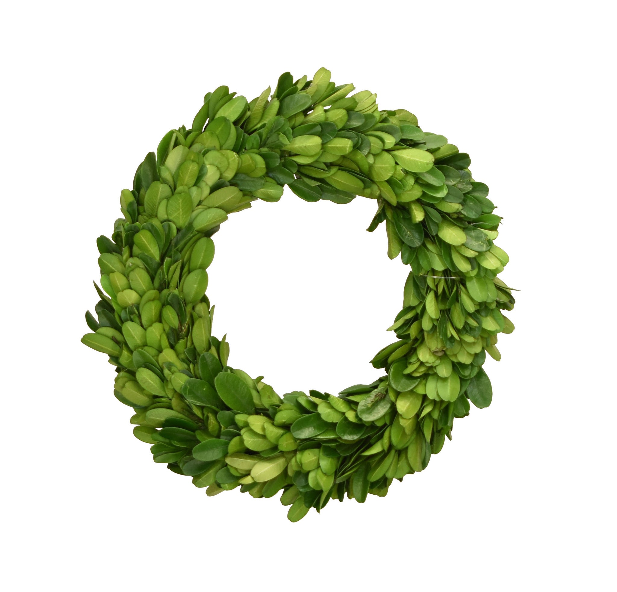 Small preserved boxwood wreath by Mill&