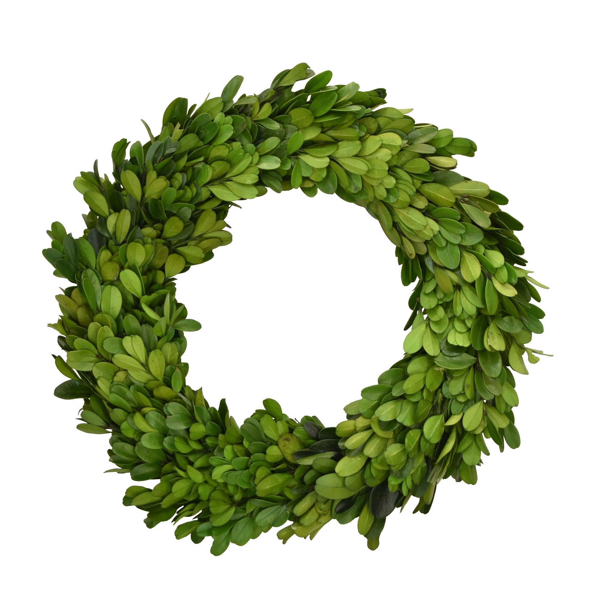 Small preserved boxwood wreath by Mill&