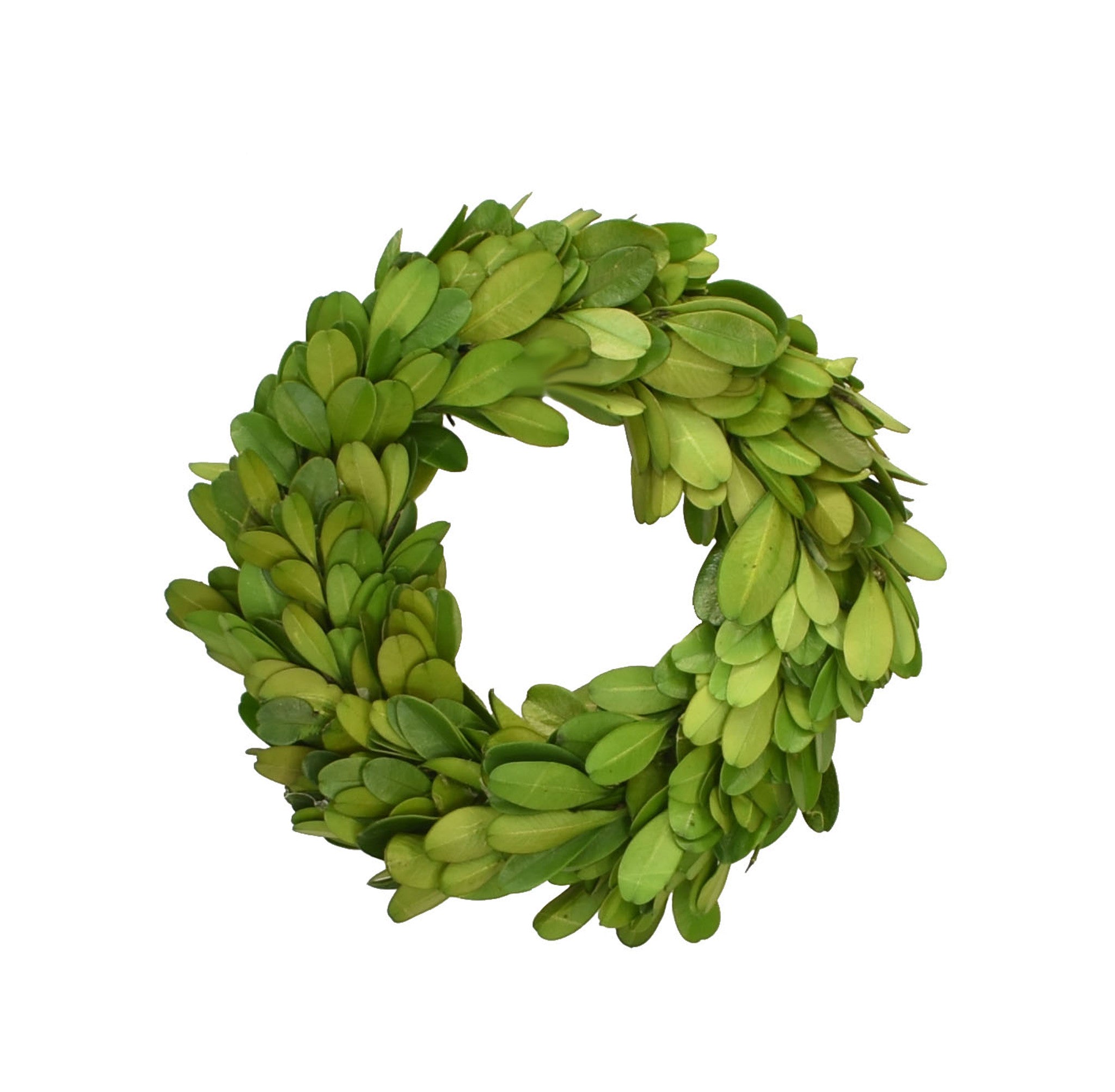 Small preserved boxwood wreath by Mill&