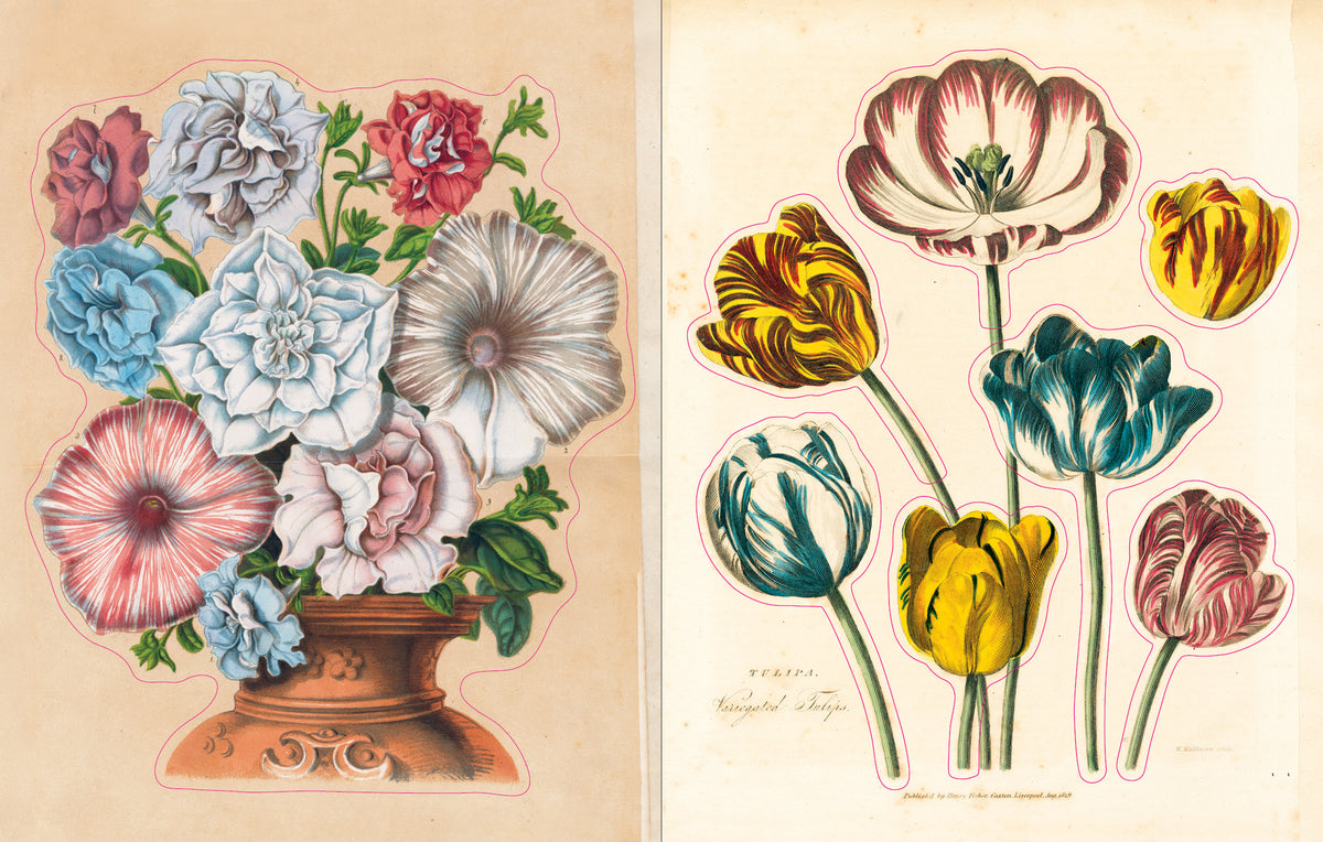 Open pages of the John Derian sticker book, one showing a sticker of a clay colored vase full of beige, light blue, teal, red and rose-colored flowers and the other showing individual tulip stems.