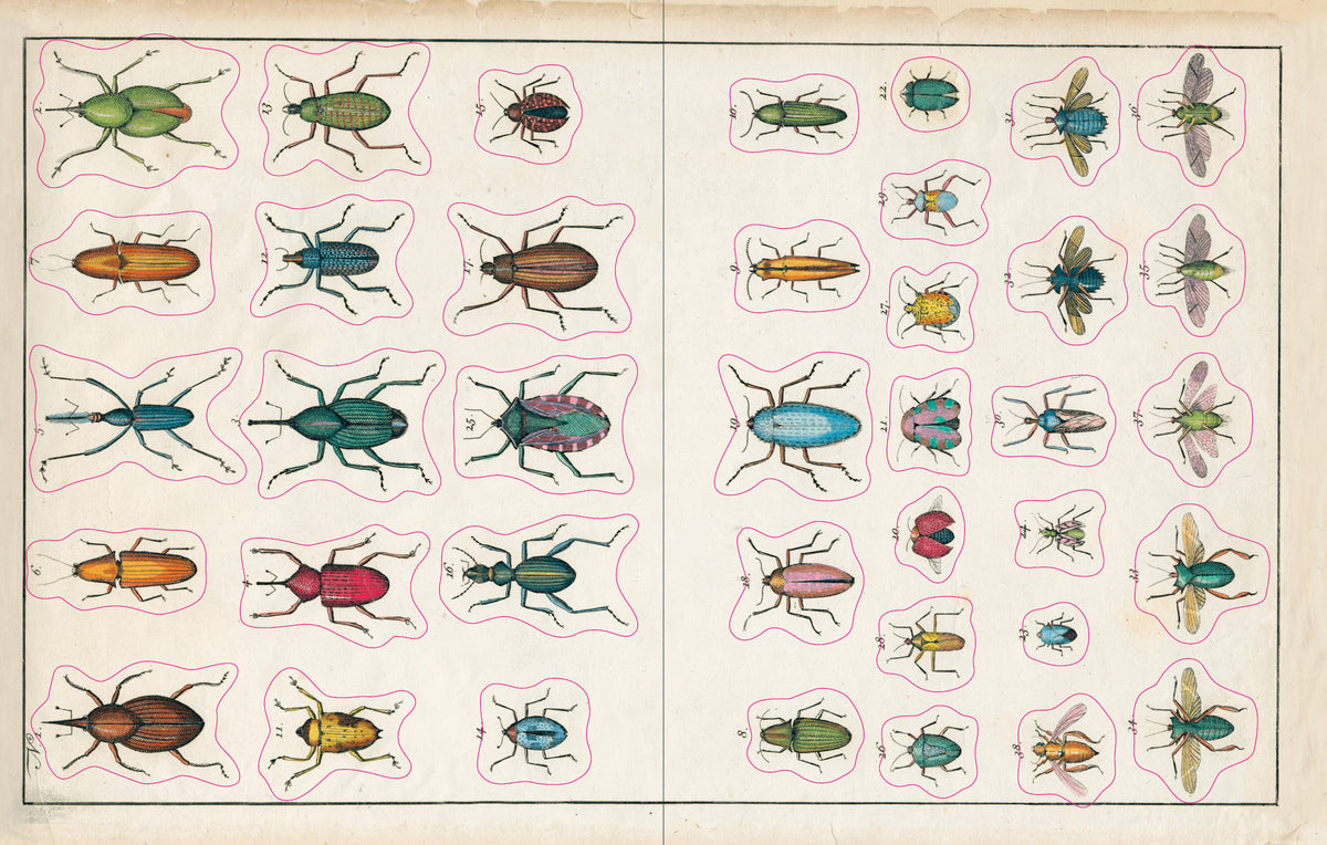 Open pages of the John Derian sticker book showcasing stickers of different kinds of bugs on both sides.