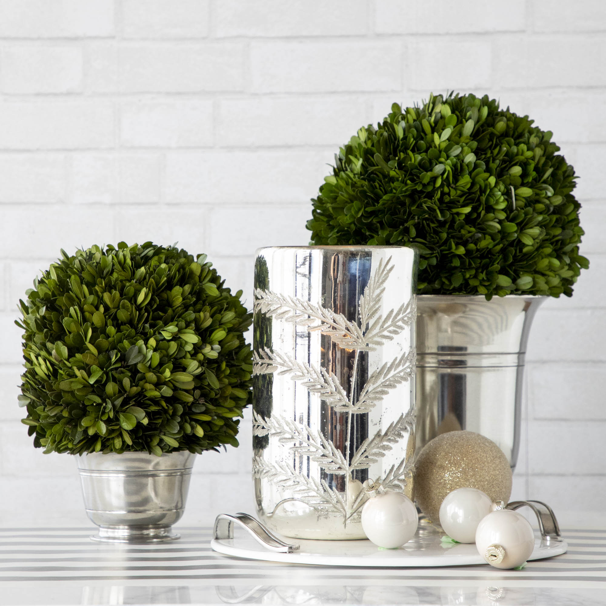 Preserved Boxwood Balls