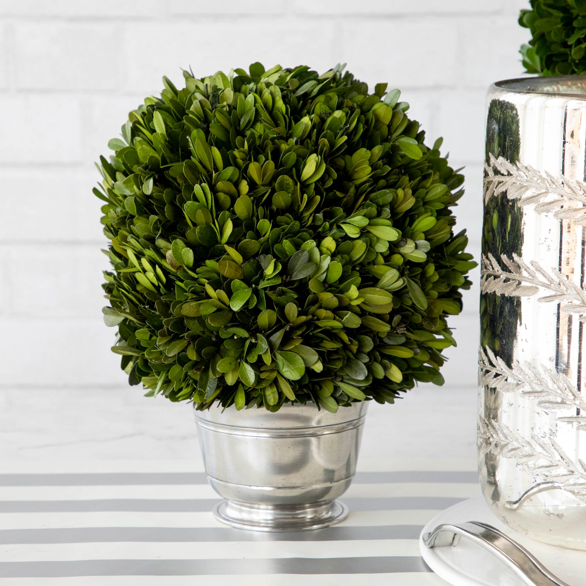 Preserved Boxwood Balls