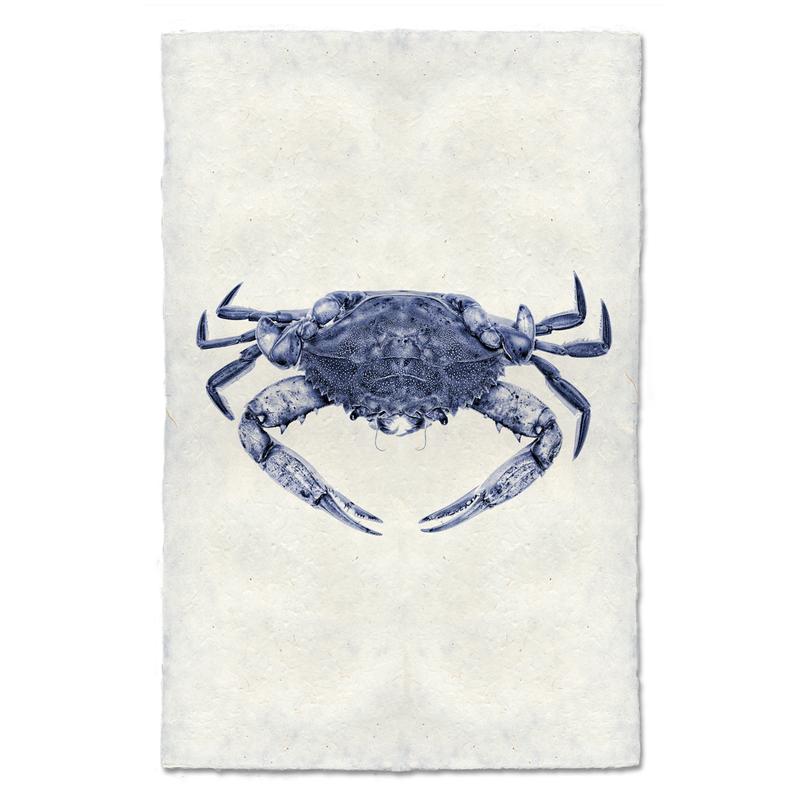 Blue Crab Print