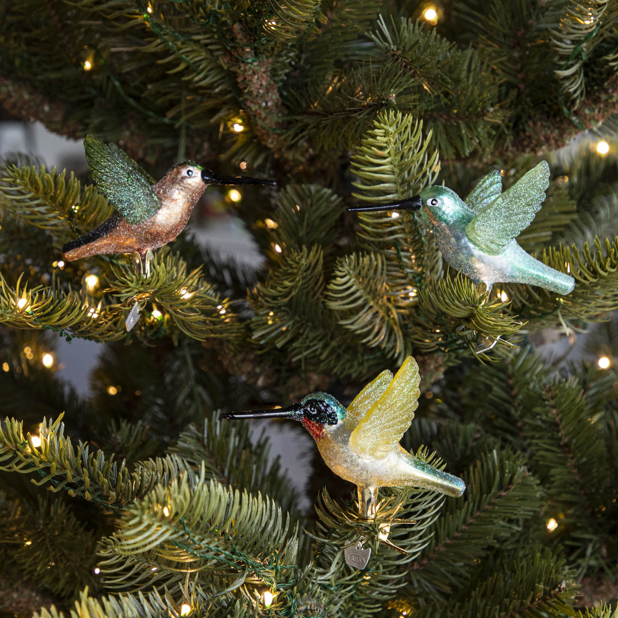 3 assorted colors of Glass Hummingbird Ornaments clipped into a tree.