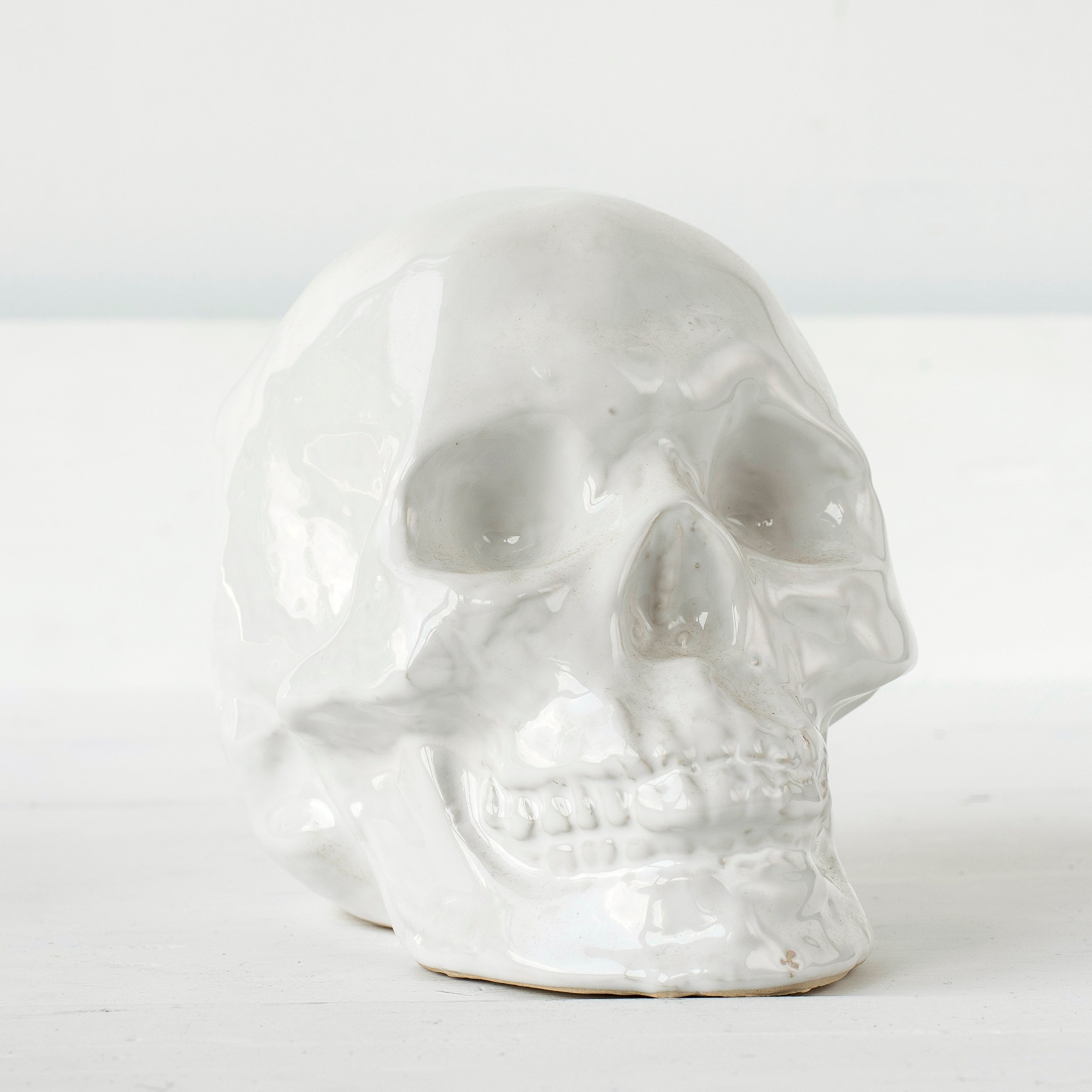 Skull Head