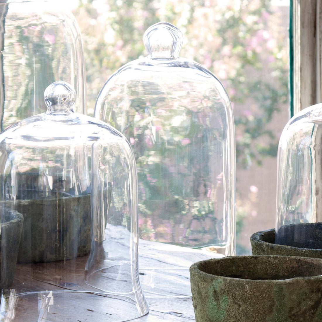 Glass-domed Park Hill cake stands, resembling bell jars, displaying baked goods on a table.