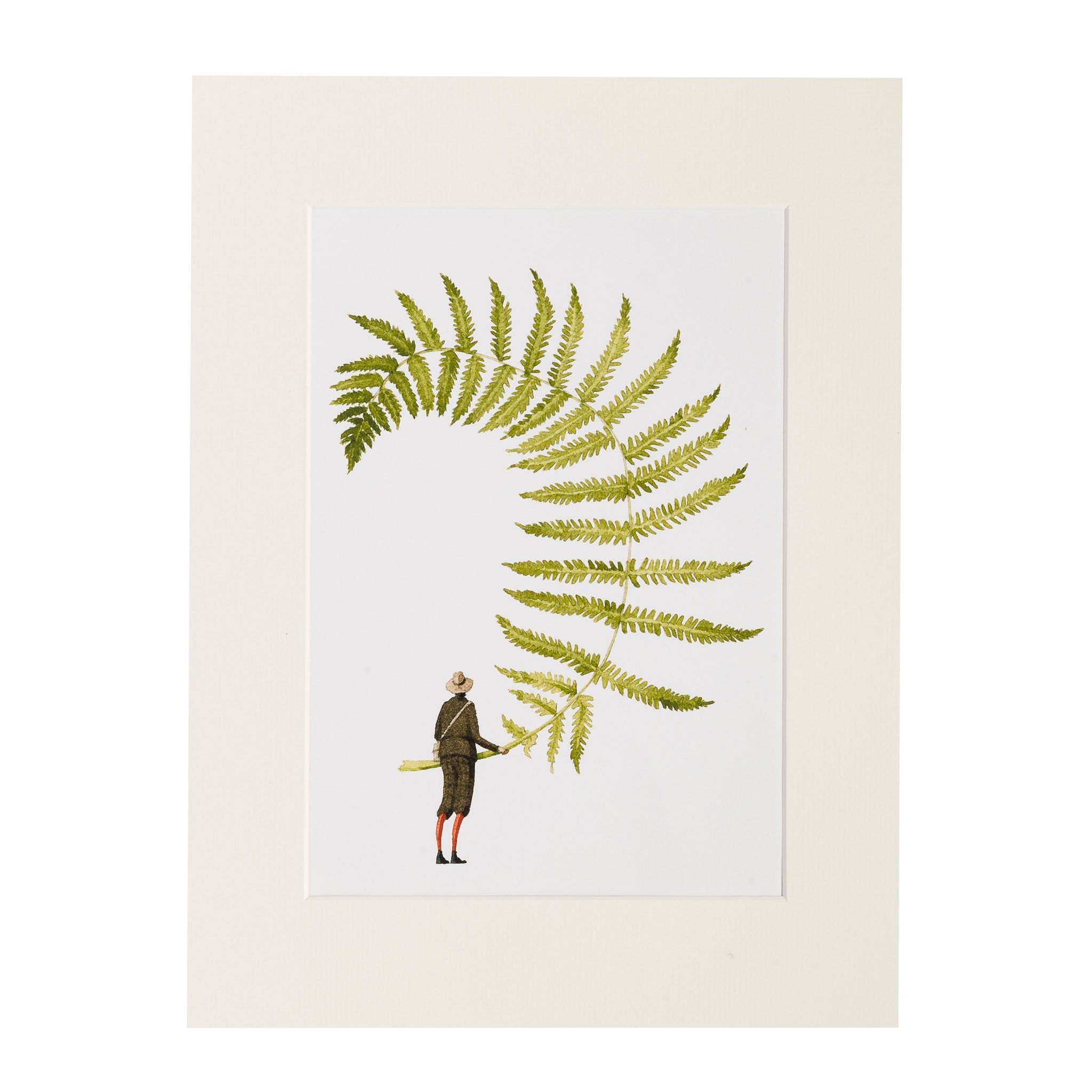 Fern 5 Art Print