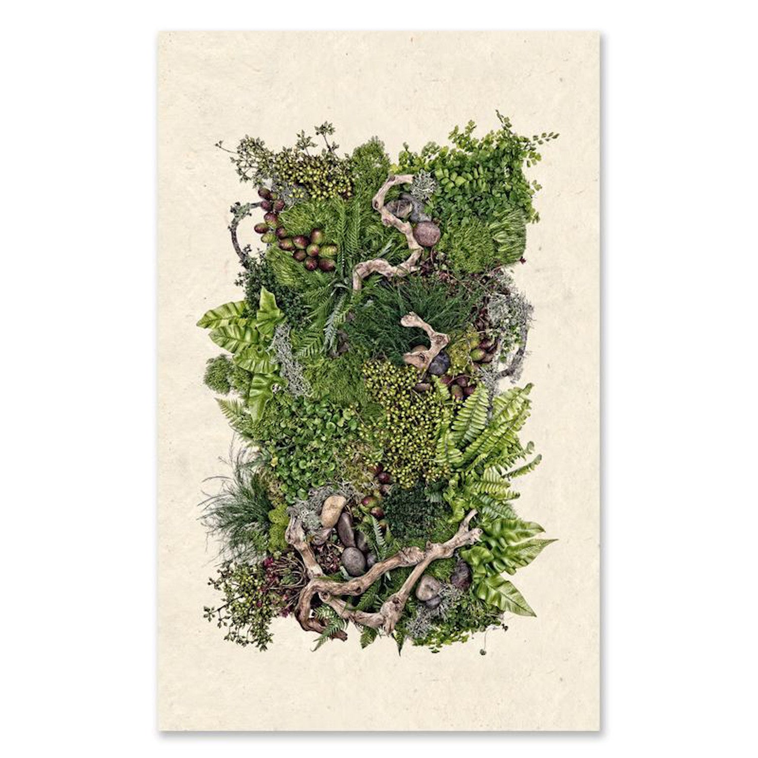 Forest Floor (Collective Ferns) Grand Format