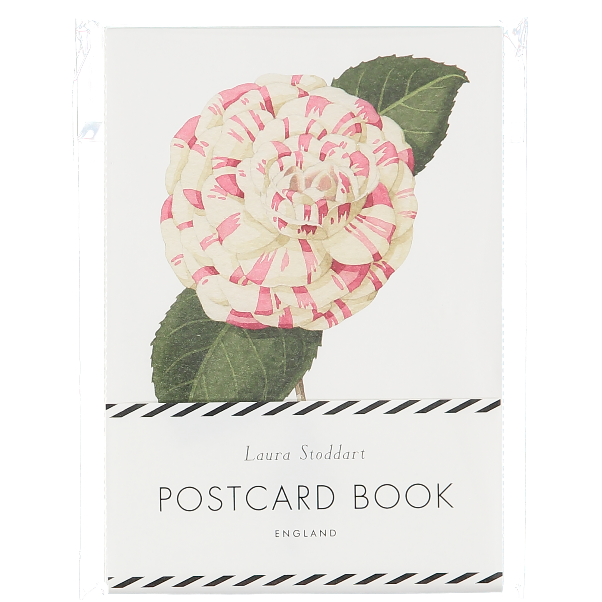 The In Bloom Postcard Book in retail Packaging, the stack of illustrated cards stacked in a plastic sleeve.