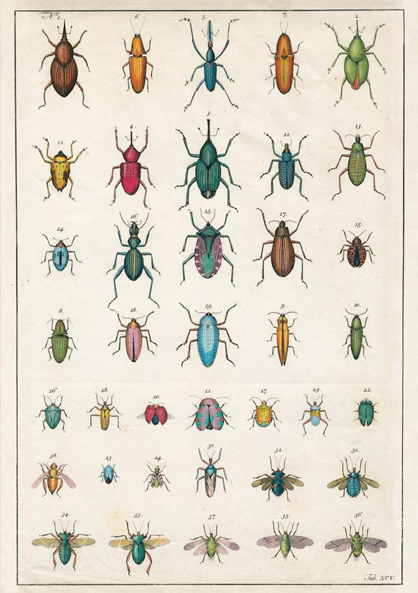 John Derian: In the Garden Notebooks, Set of 3