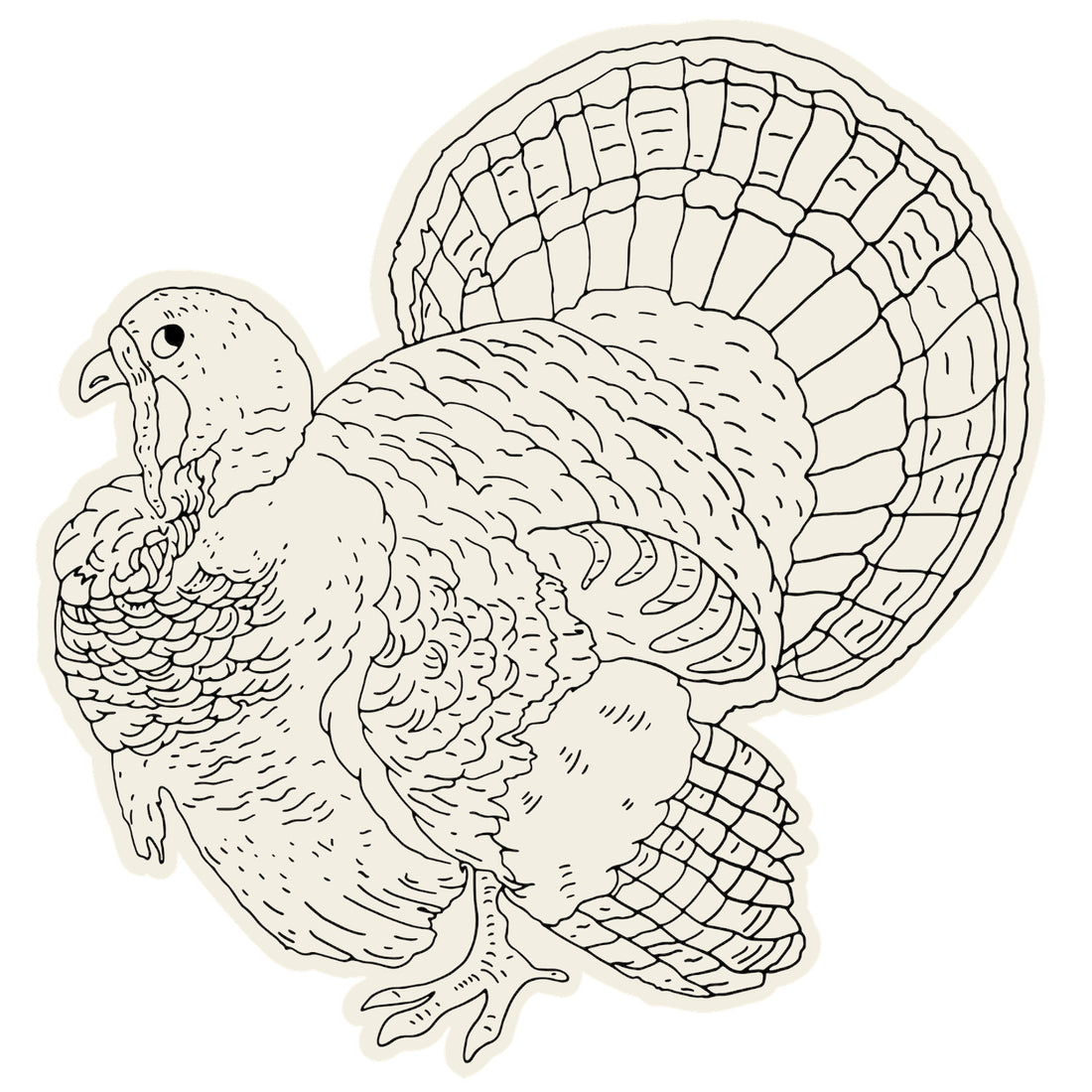 A coloring-book style line drawing of a plump turkey.