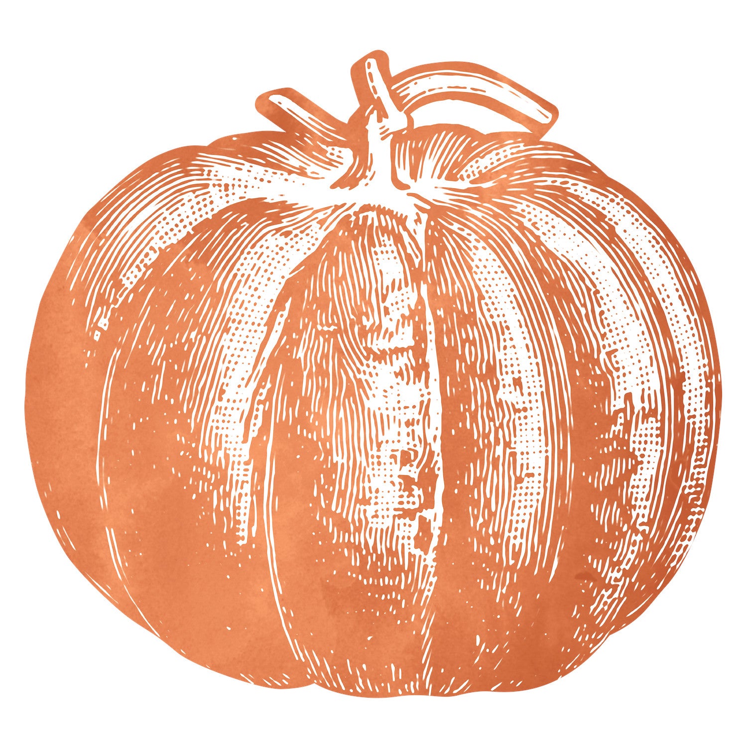 A die-cut, engraving-style illustration of an orange pumpkin printed on white.