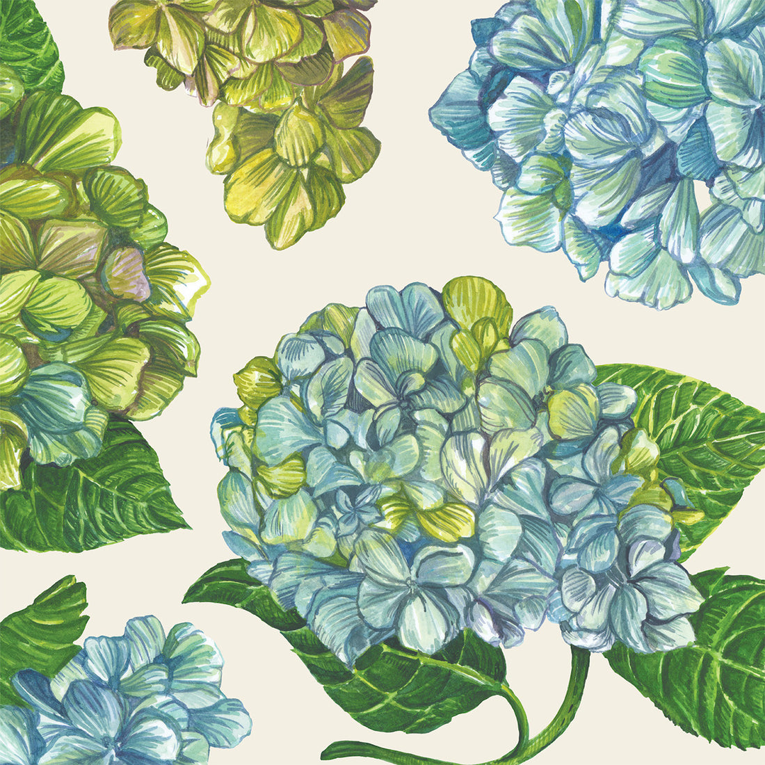 A square cocktail napkin featuring green and blue illustrated hydrangea blossoms scattered over a white background.