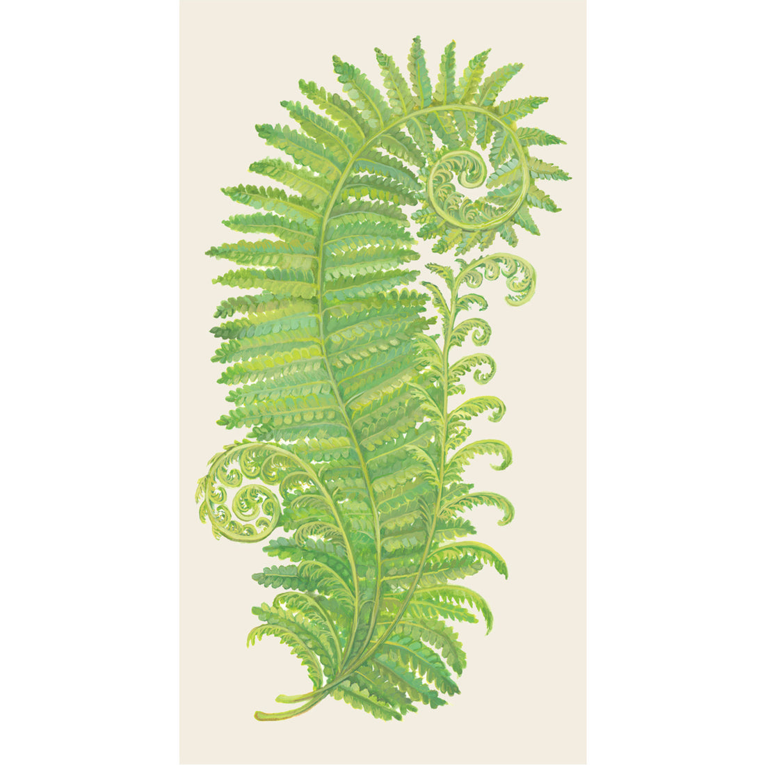 A rectangle, white guest napkin featuring an illustrated, vibrant green, curled fern frond.
