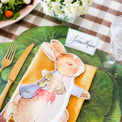 A table setting with Seafoam Frame Place Cards from Hester &amp; Cook for guests featuring a peter rabbit.