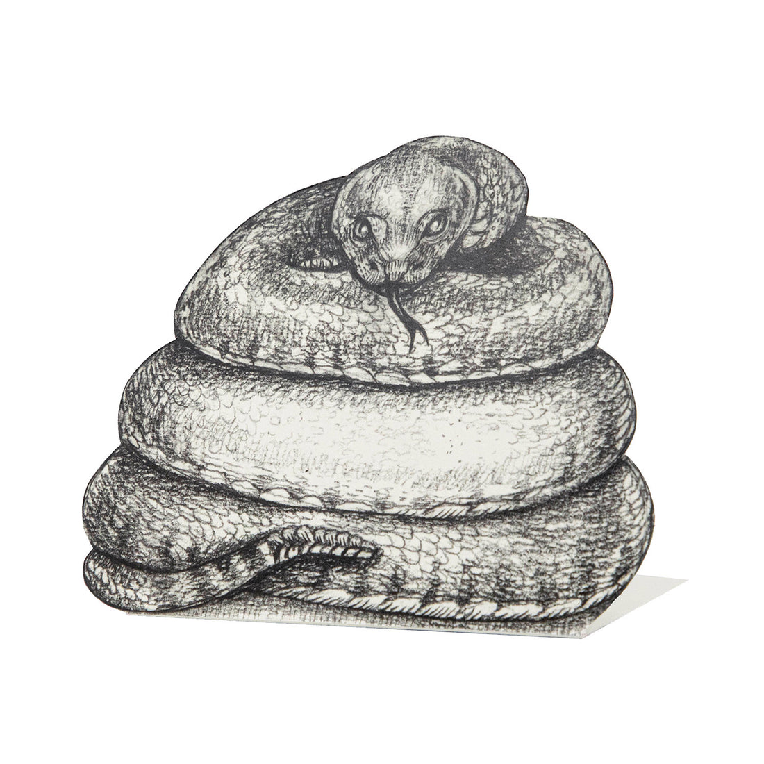A pencil-drawn black and white coiled snake as a die-cut freestanding place card.