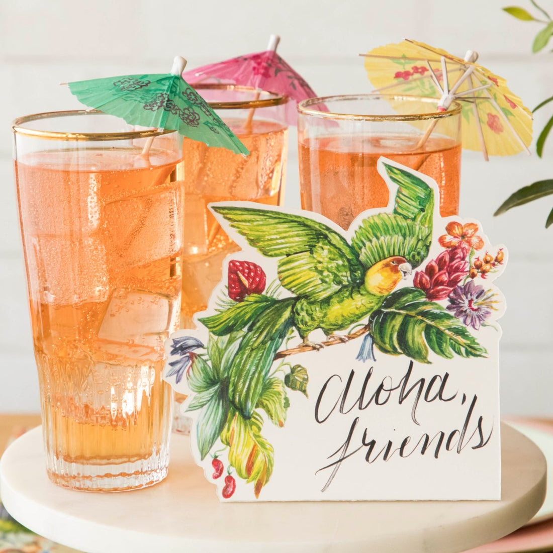 A tropical-themed drink tray with three refreshments and a Parrot Place Card reading &quot;Aloha, Friends&quot;.