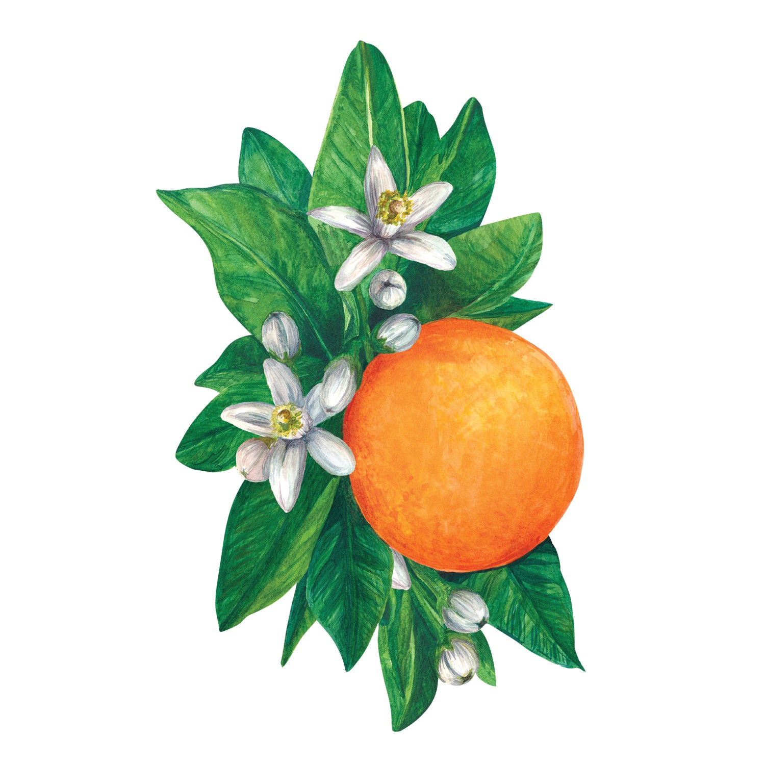 Orange Blossom Table Accent, (Set of 12)