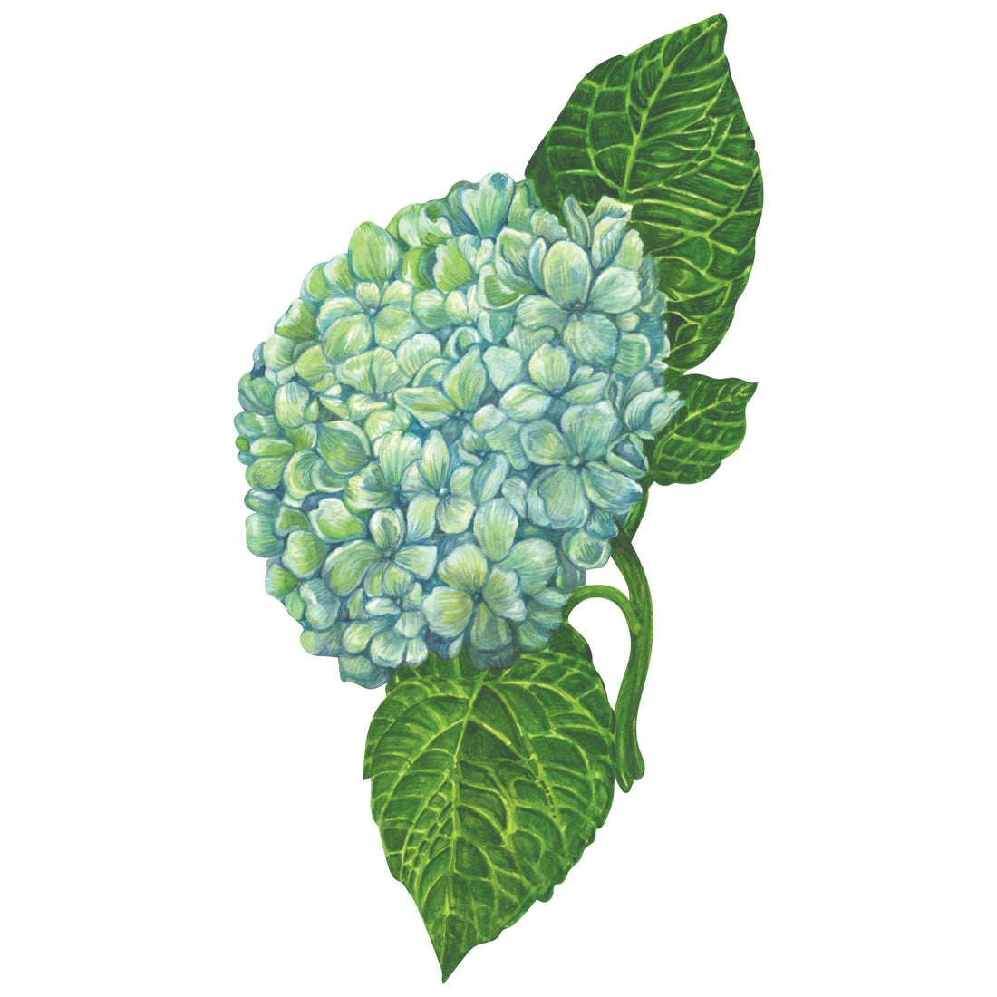 A die-cut illustration of blue and green hydrangea blossoms on a vibrant green stem and leaves.