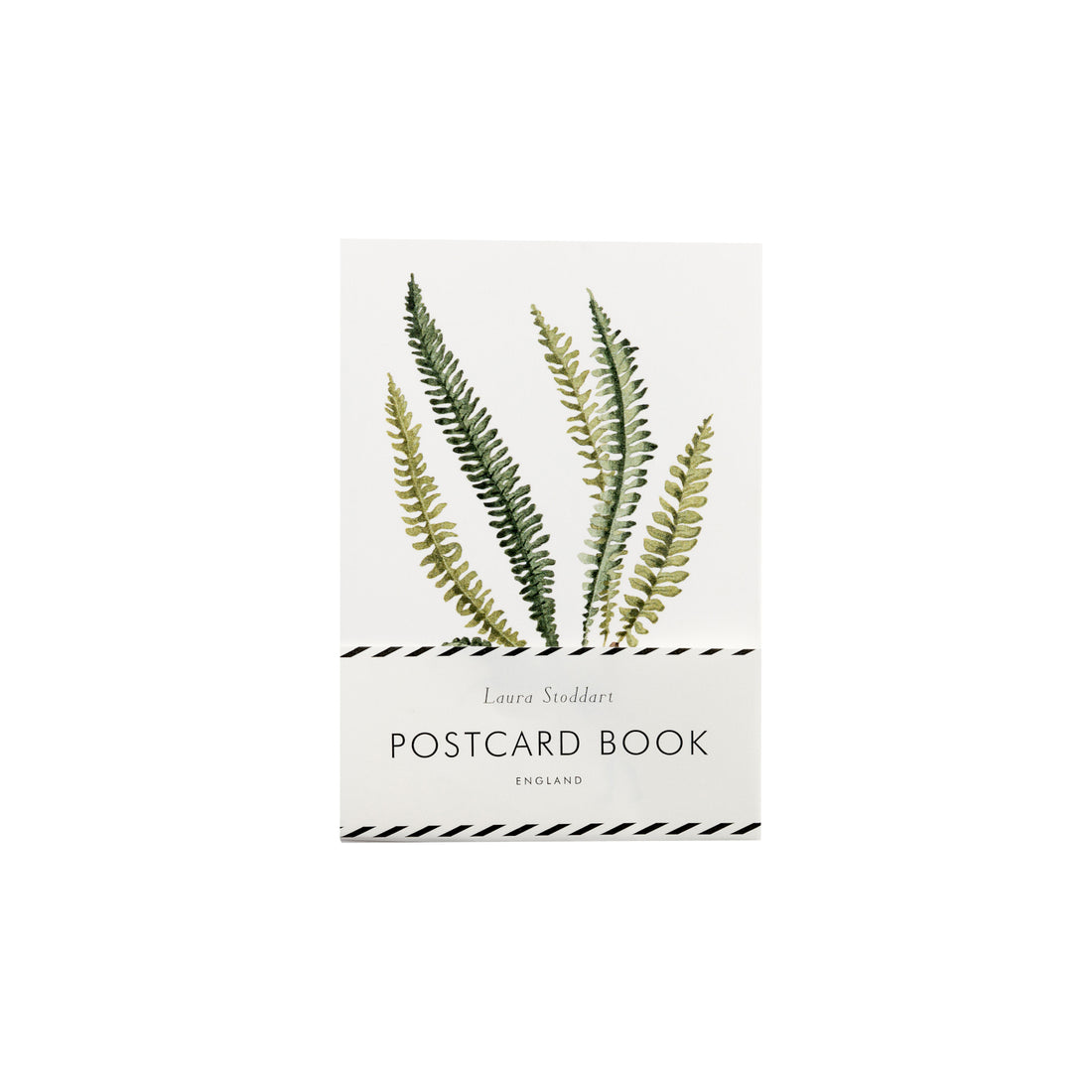 A Fabulous Ferns Postcard Book from Hester &amp; Cook featuring elegant fern leaves.