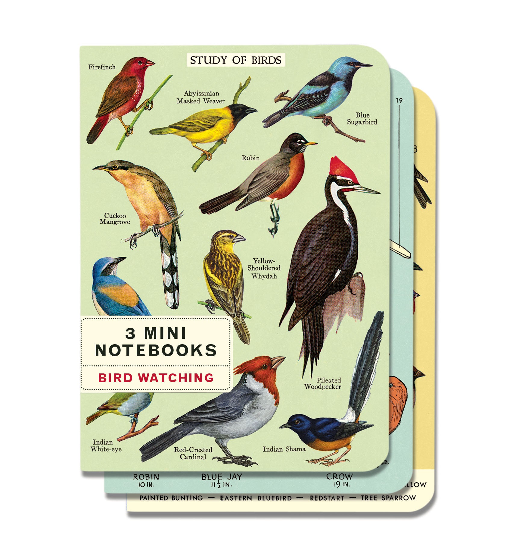 Bird Watching 3 Mini Notebooks set with lined pages by Cavallini Papers & Co.