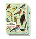 Bird Watching 3 Mini Notebooks set with lined pages by Cavallini Papers & Co.