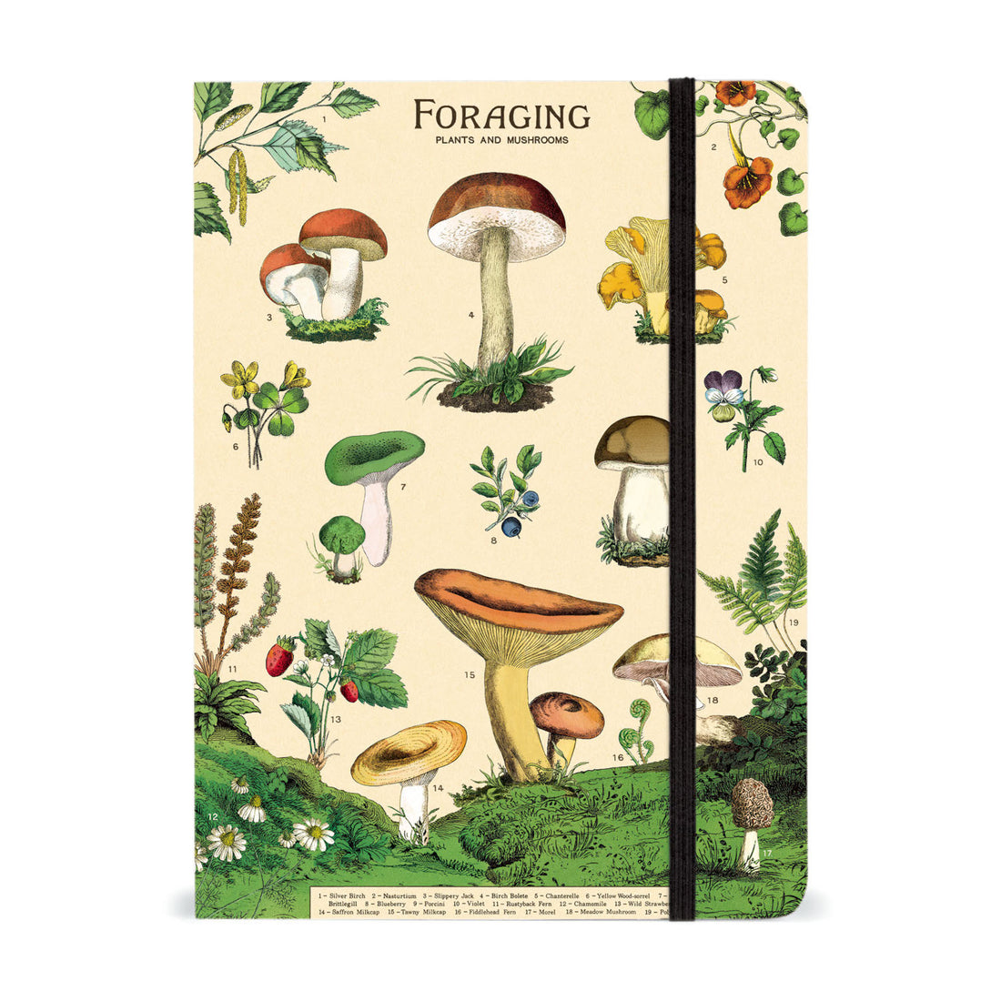 Illustrated Cavallini Papers &amp; Co notebook cover featuring a variety of plants and vintage mushrooms, titled &quot;Foraging&quot;.