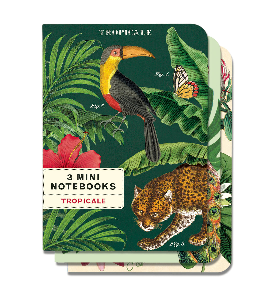 Set of 3 Tropicale Mini Notebooks featuring vintage artwork by Cavallini Papers &amp; Co.