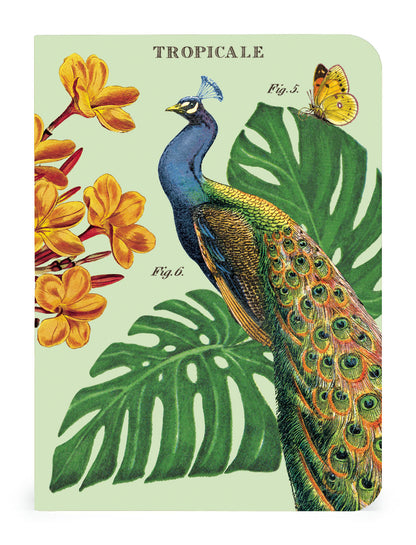 A set of Tropicale 3 Mini Notebooks featuring vintage artwork of a peacock and tropical flowers by Cavallini Papers &amp; Co.