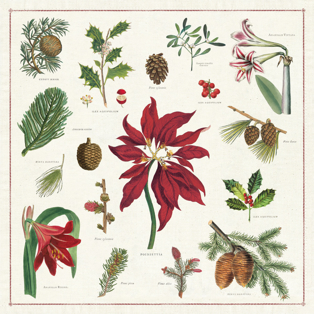 A set of 4 Christmas-themed cloth napkins with a printed floral and botanical pattern, including images of flowers, pine cones, and leaves, packed in a hand-sewn muslin bag.