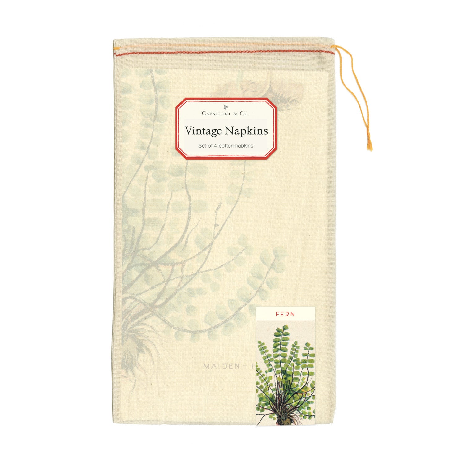Illustration of various fern species with parts labeled, presented on Fern Napkins, Set of Four from Cavallini Papers & Co archives.