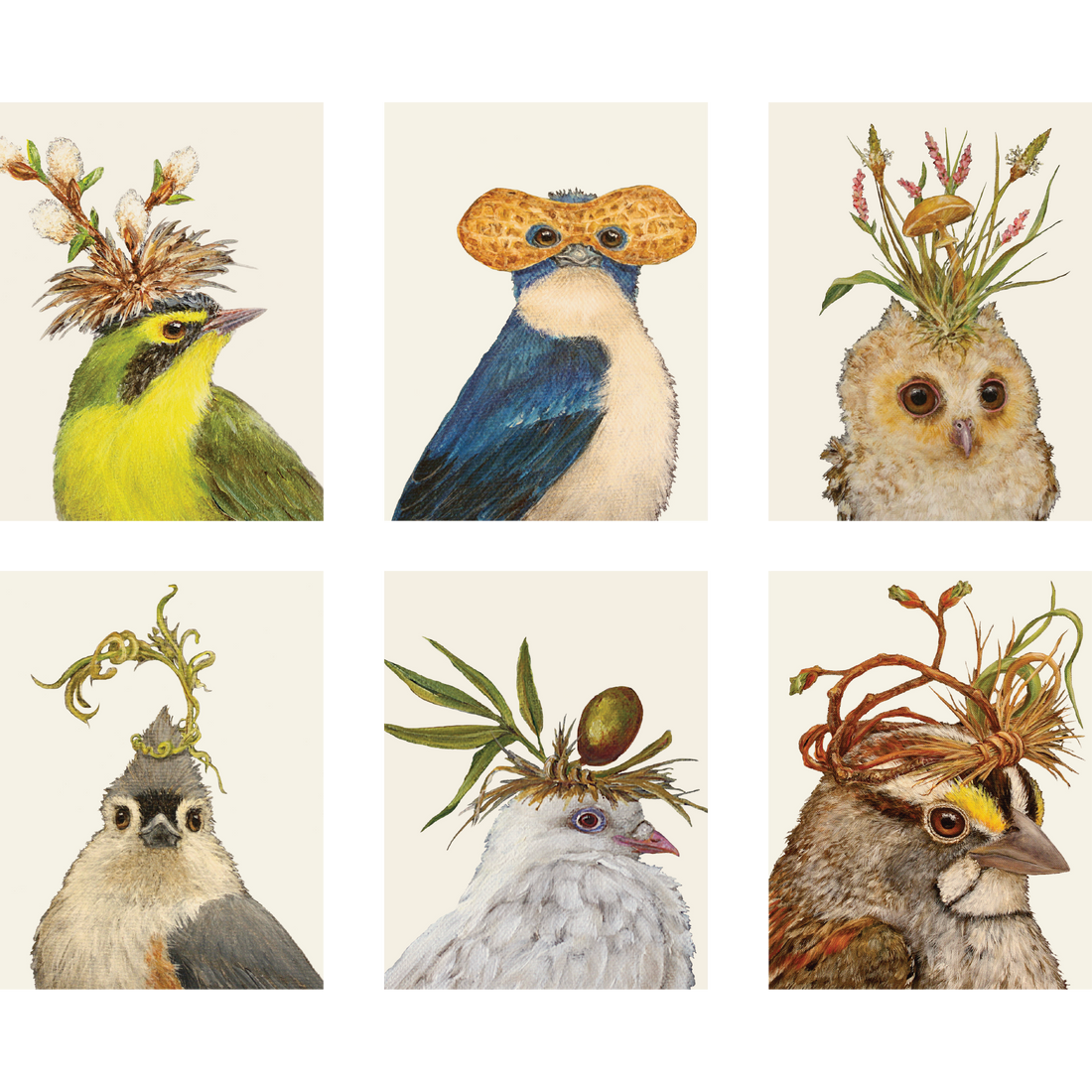 A set of Songbird Portrait Signature Boxed Set Cards with birds wearing hats from Hester &amp; Cook.