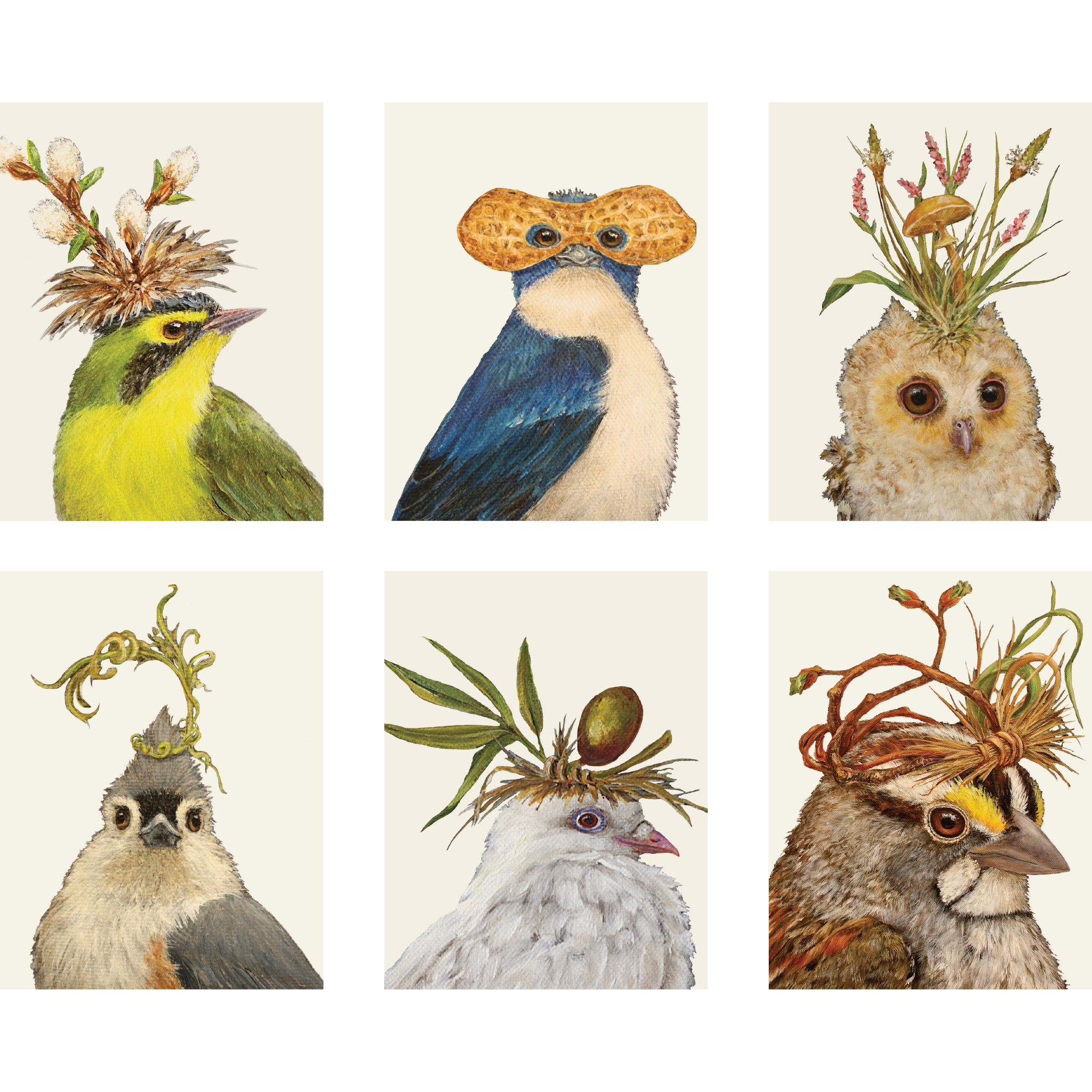 A set of Songbird Portrait Signature Boxed Set Cards with birds wearing hats from Hester & Cook.