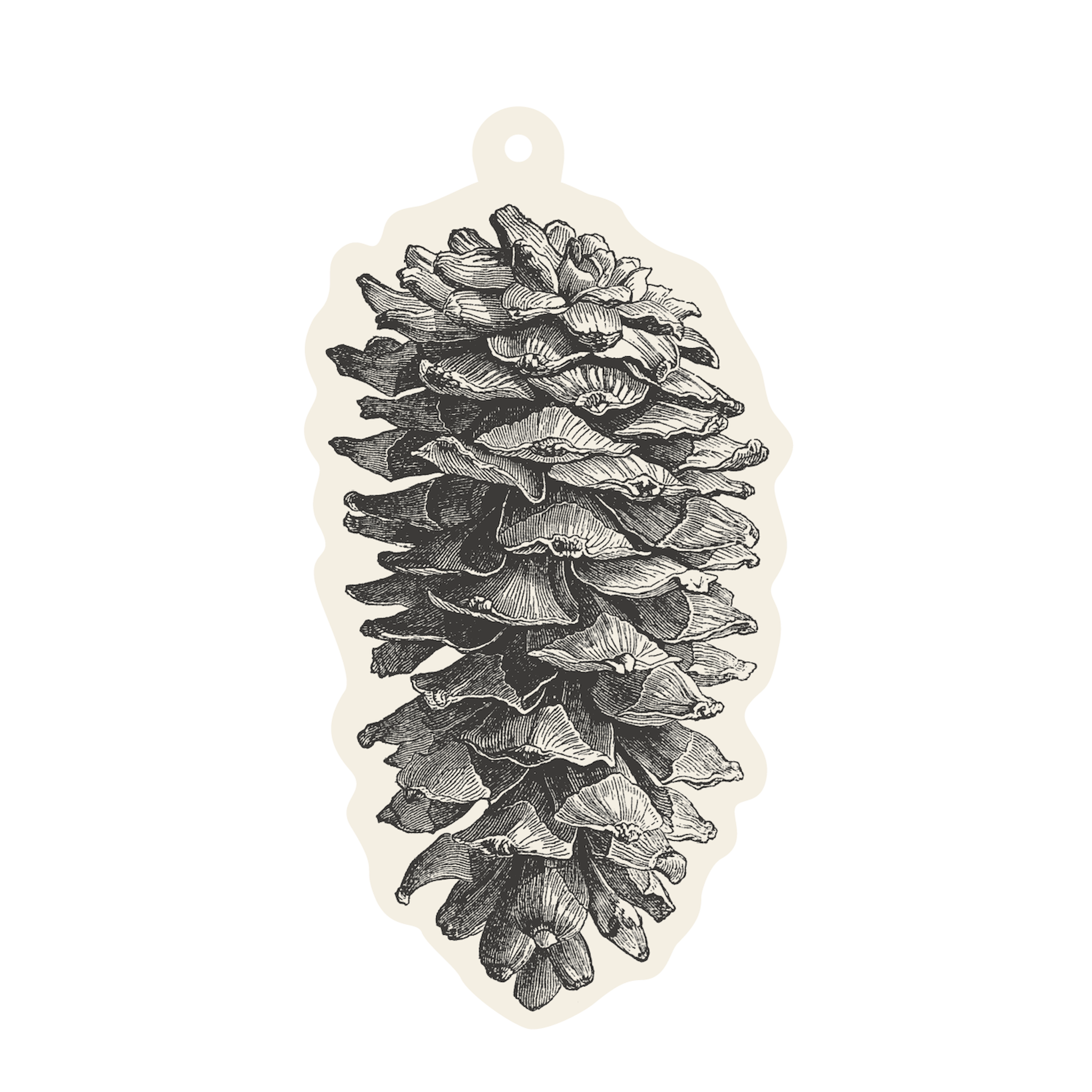 Pinecone Gift Tags -Set of 12