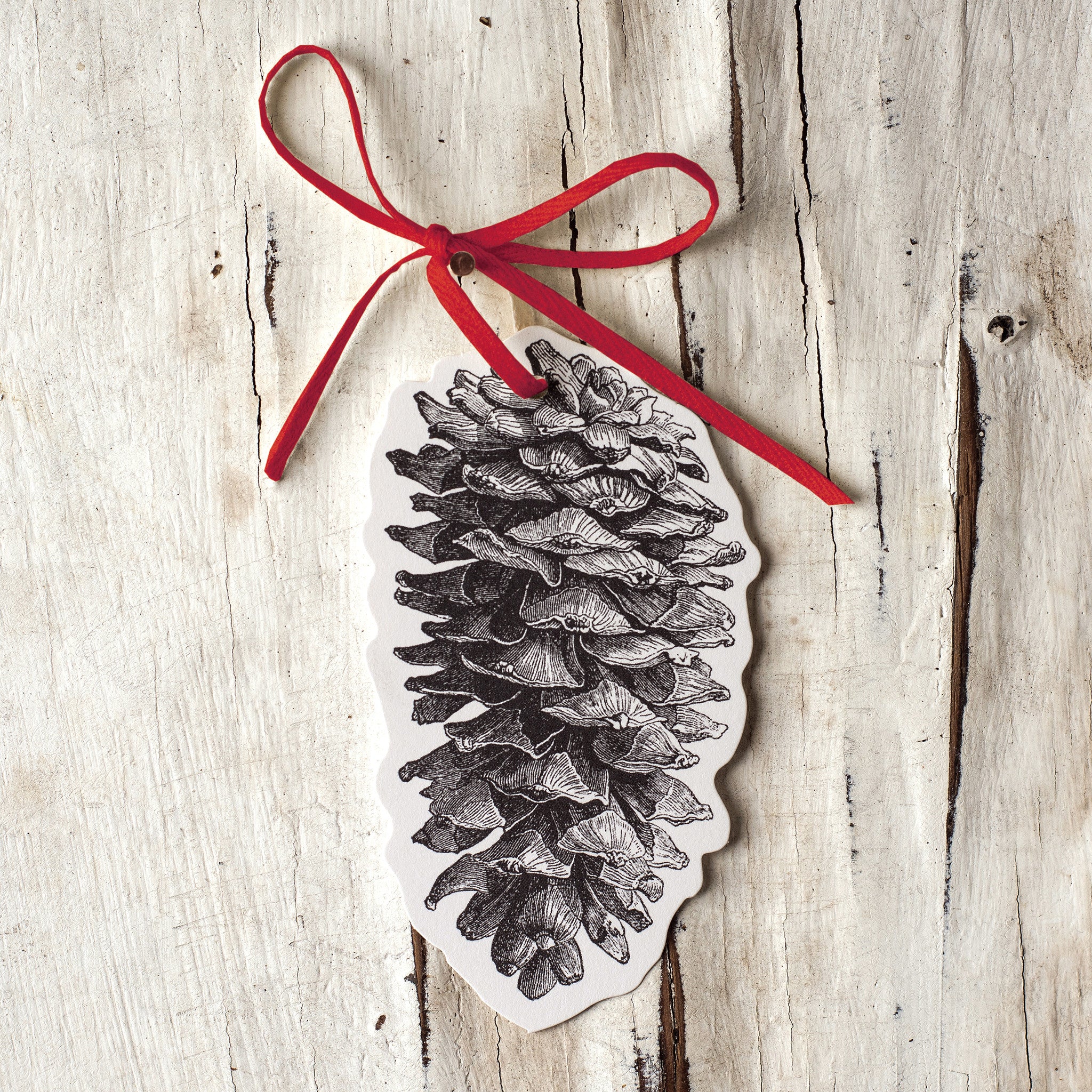 Pinecone Gift Tags -Set of 12