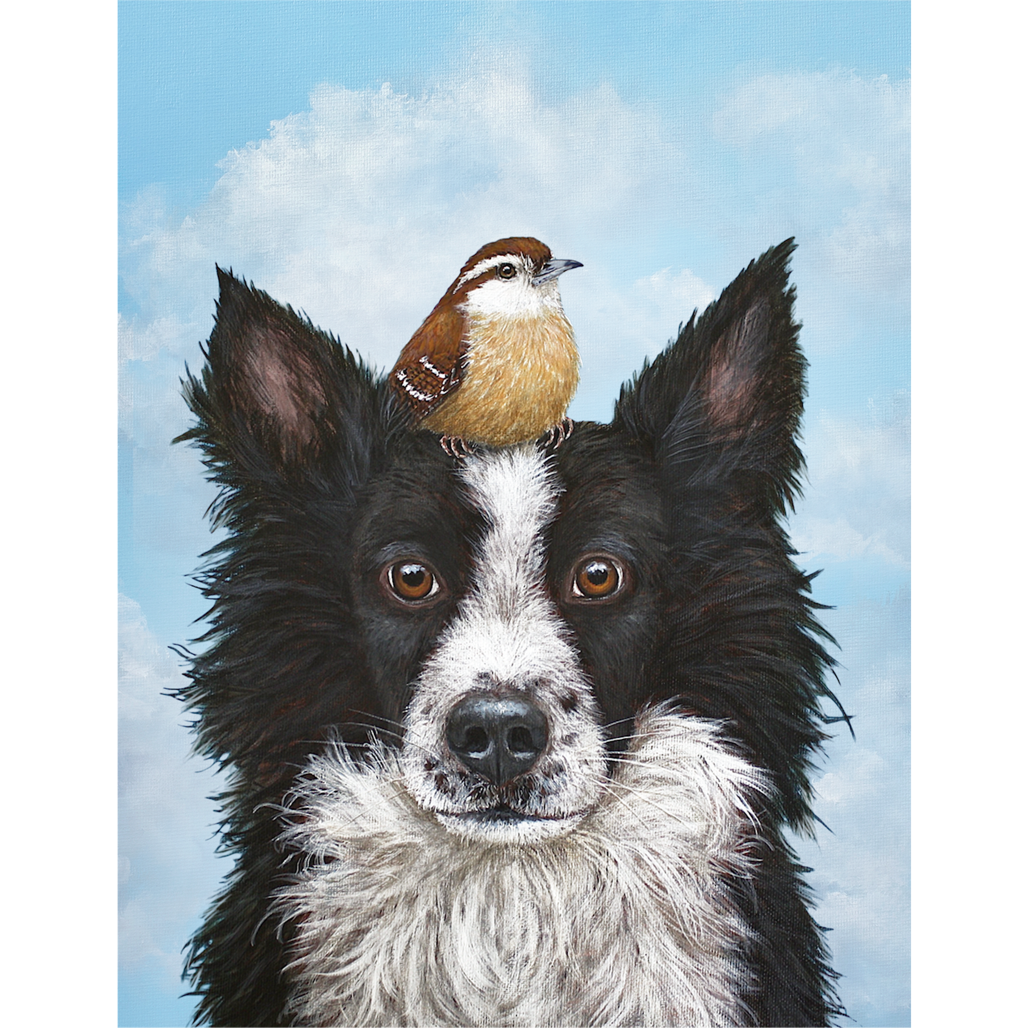 A black and white dog with a bird on its head, featured in Hester & Cook&