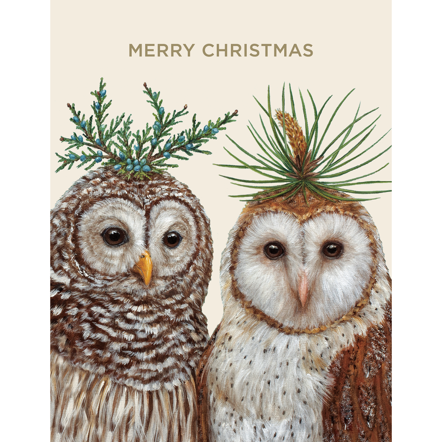 A cream Christmas card featuring two illustrated owls wearing winter botanicals as hats with &