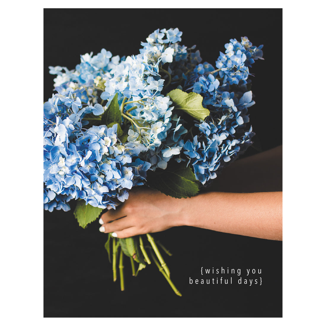 A photo of a pair of manicured hands holding a bouquet of blue hydrangeas on a black background, with &quot;wishing you beautiful days&quot; printed in the lower right corner in white.