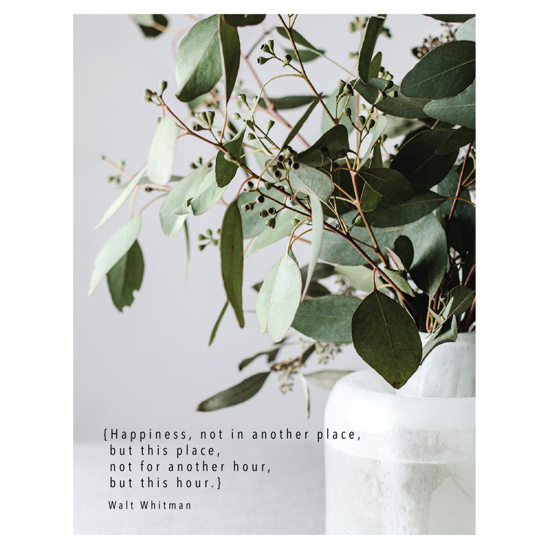 A photo of leafy botanicals in a white vase on a white background, with &quot;{Happiness, not in another place, but this place, not for another hour, but this hour.} Walt Whitman&quot; printed in black to the left of the vase.